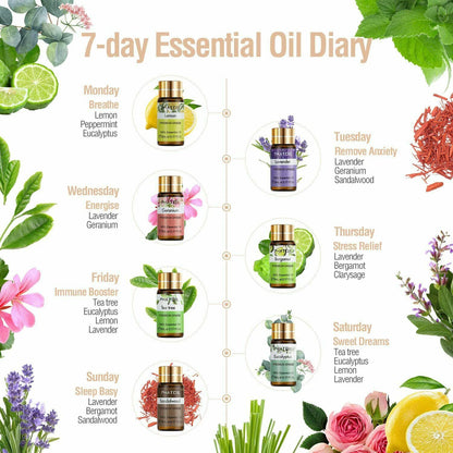 Essential Oil Fragrance Set