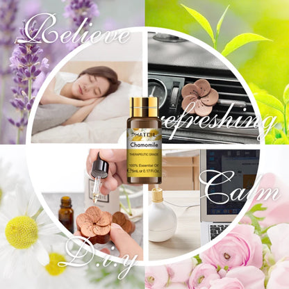 Essential Oil Fragrance Set